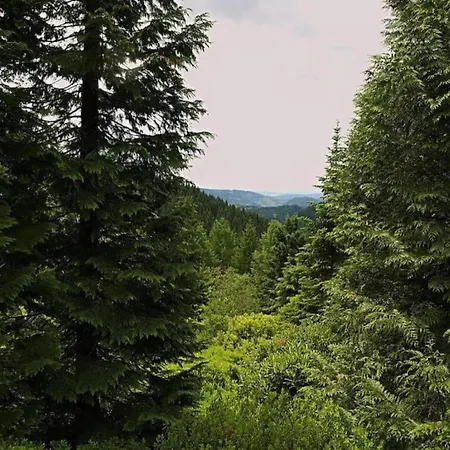 Charming Forest Escape For Two Apartmán