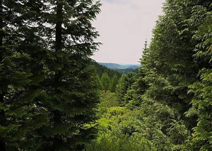 Charming Forest Escape For Two 公寓